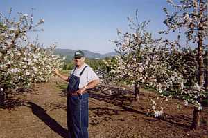 Bill Asack in home orchard during bloom.