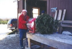 Bill Asack Pulls Christmas Tree Though netter